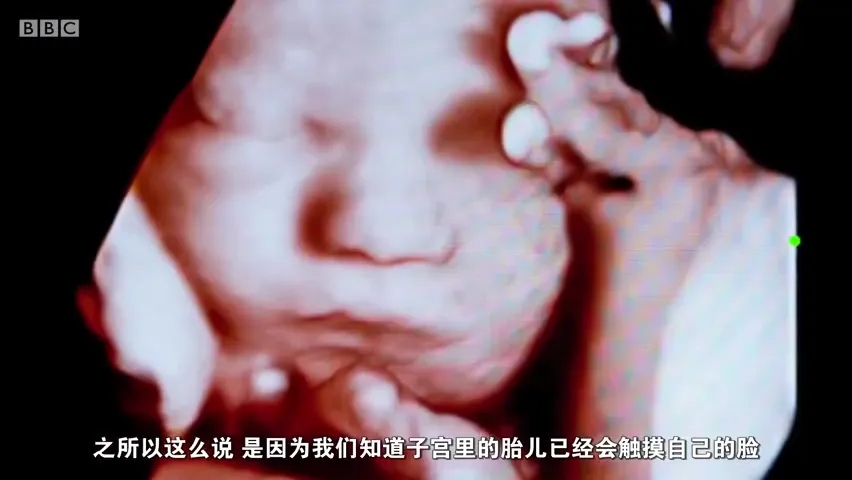 這個小習慣，可能導致感染新冠肺炎！很多人都有...